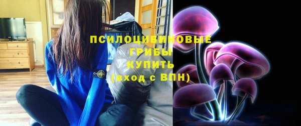 эйфоретик Алзамай