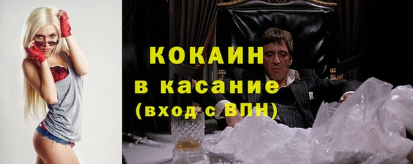 твердый Алексин