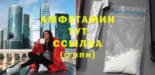 сатива Покачи