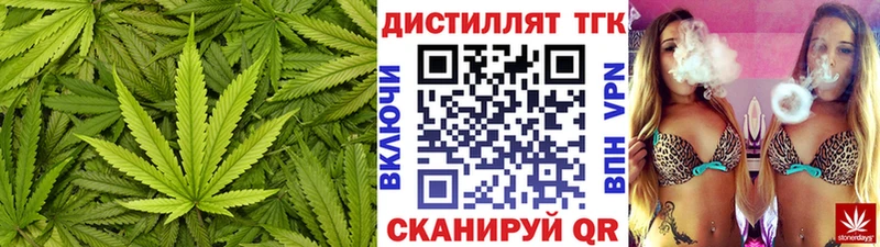 купить наркотик  Заводоуковск  Дистиллят ТГК THC oil 
