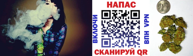 где продают наркотики  Заводоуковск  Шишки марихуана Amnesia 